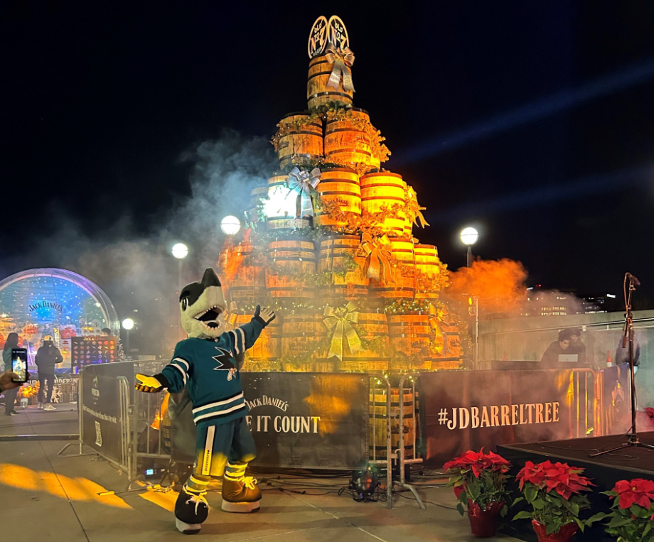 San Jose Operation Ride Home